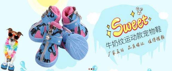 廣州市寵陽(yáng)寵物用品與本公司正式簽署網(wǎng)站項(xiàng)目合作，開(kāi)啟運(yùn)動(dòng)項(xiàng)目經(jīng)營(yíng)新篇章
